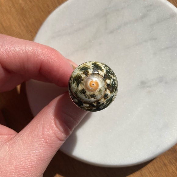 Sterling Silver Statement Shell Ring Size 5.5 - Picture 2 of 6